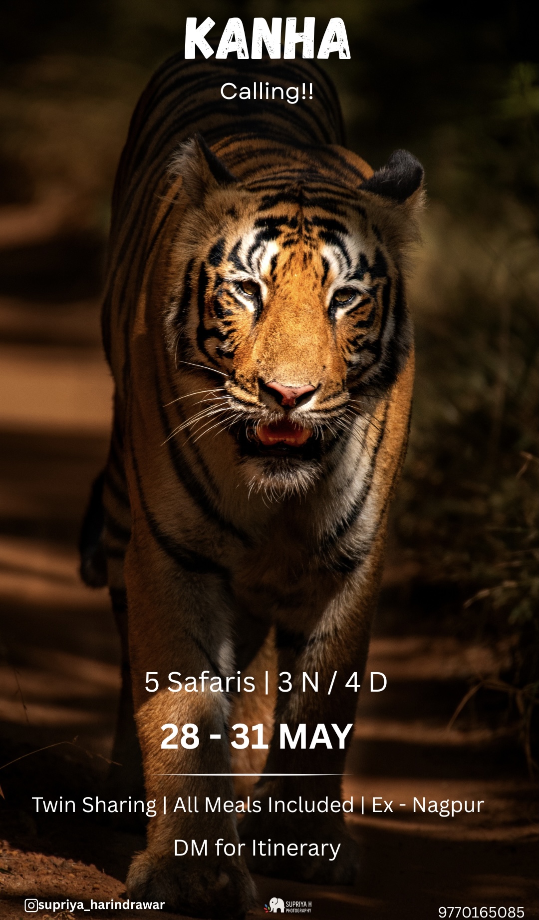 Wildlife Photography Workshop