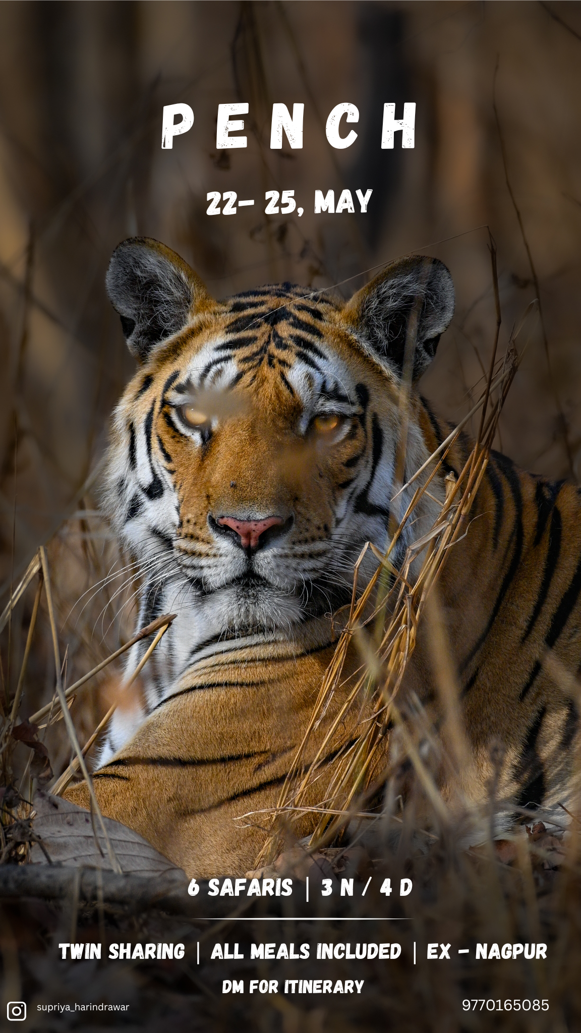 Wildlife Photography Workshop