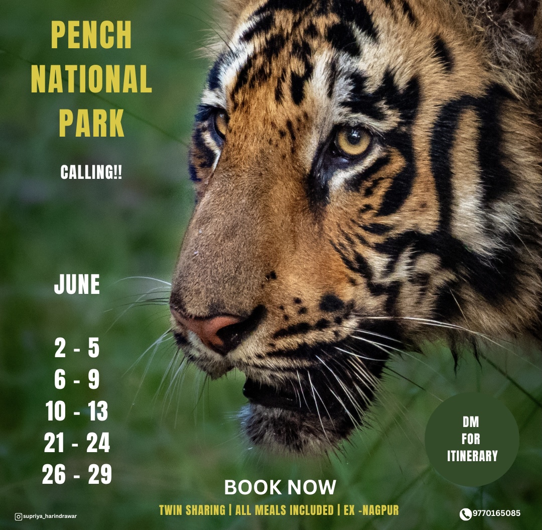 Wildlife Photography Workshop