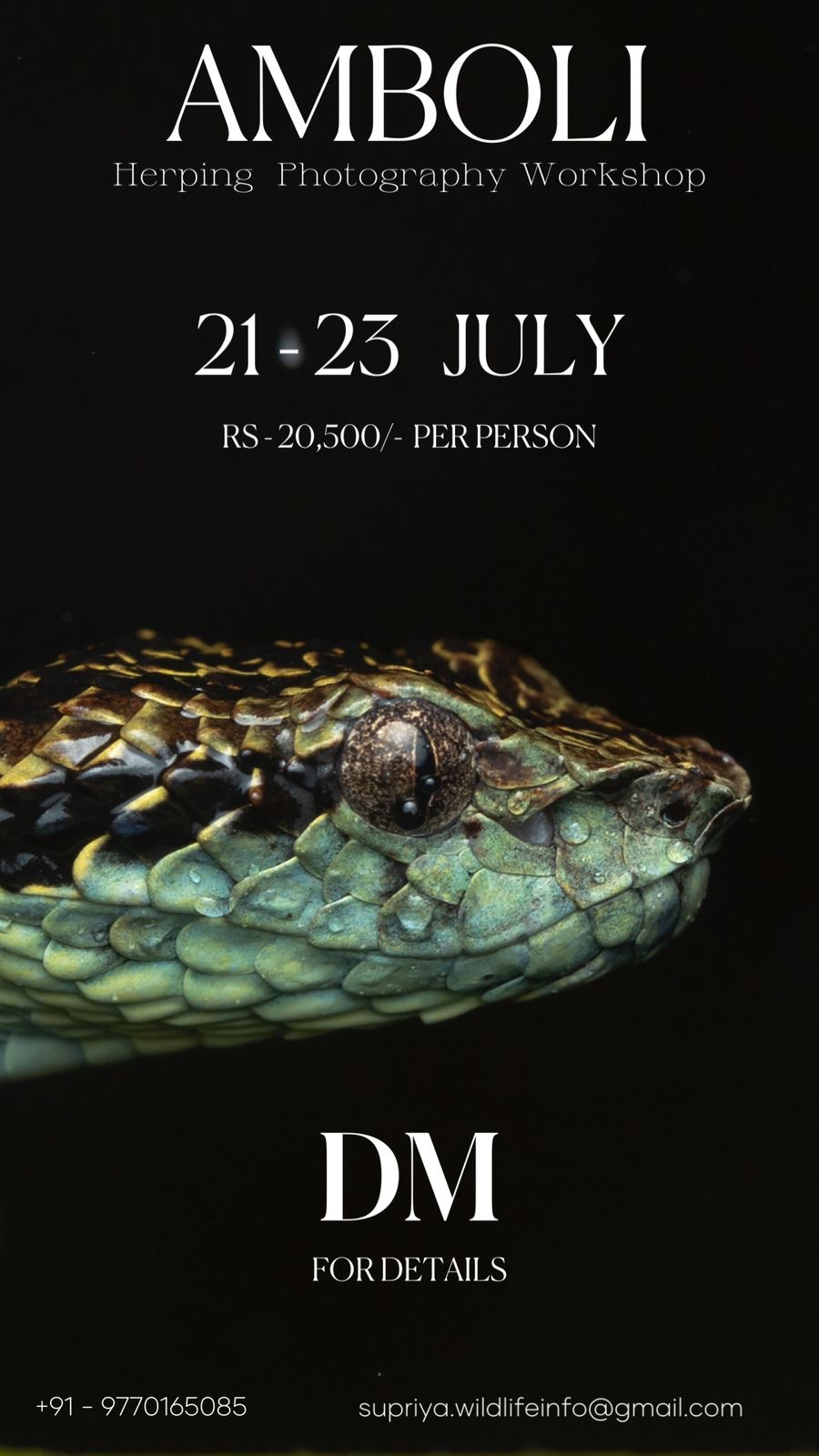Wildlife Photography Workshop