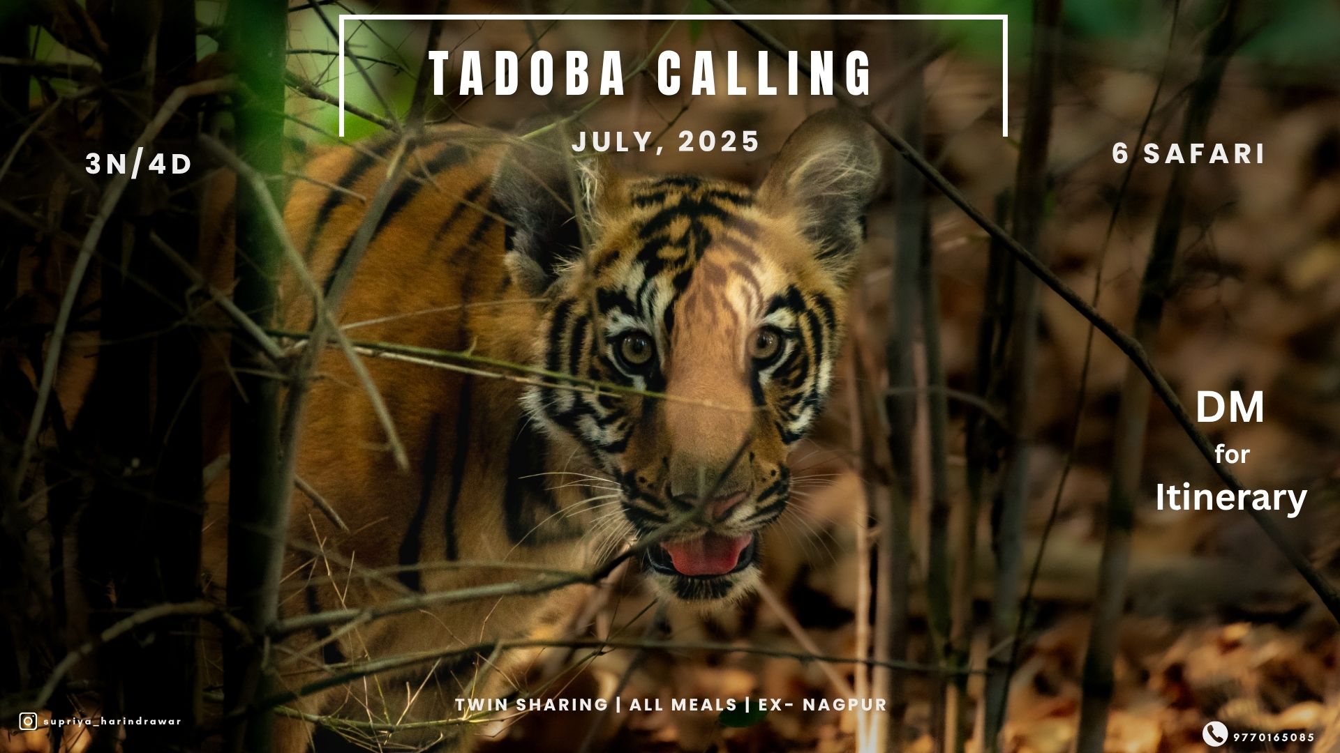 Wildlife Photography Workshop