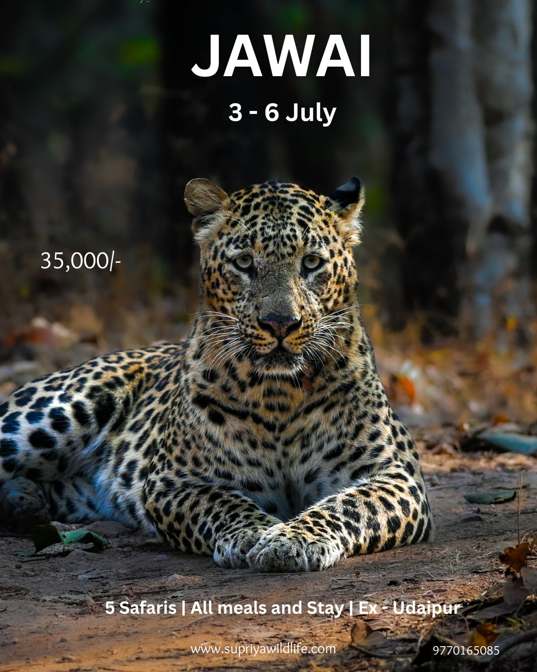 Wildlife Photography Workshop